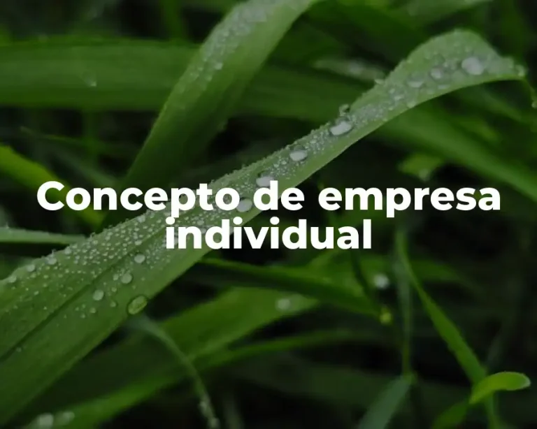 Concepto de empresa individual