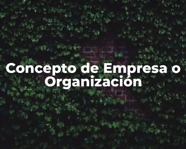 Concepto de Empresa o Organización
