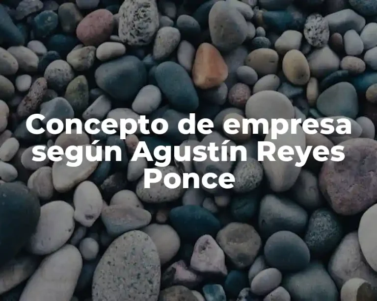 Concepto de empresa según Agustín Reyes Ponce