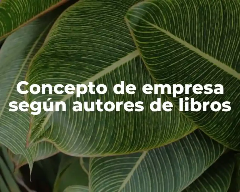 Concepto de empresa según autores de libros