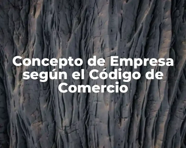Concepto de Empresa según el Código de Comercio