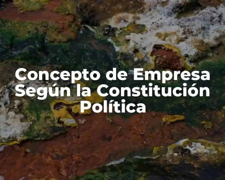 Concepto de Empresa Según la Constitución Política