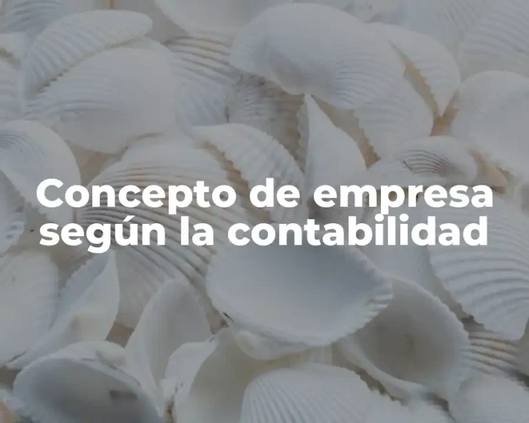 Concepto de empresa según la contabilidad