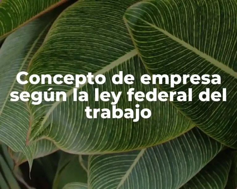 Concepto de empresa según la ley federal del trabajo