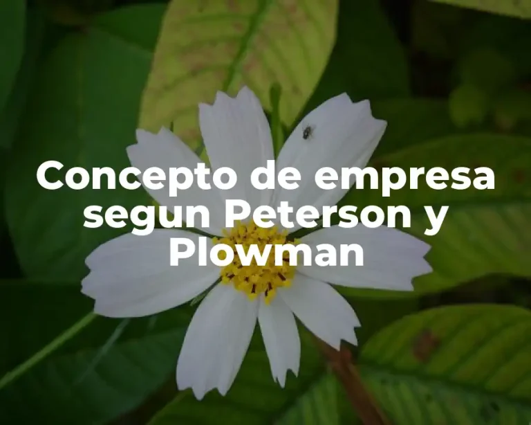 Concepto de empresa segun Peterson y Plowman