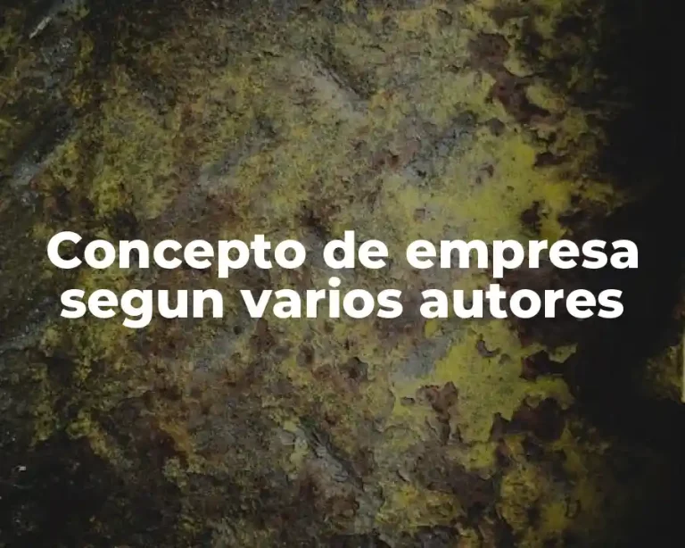 Concepto de empresa segun varios autores