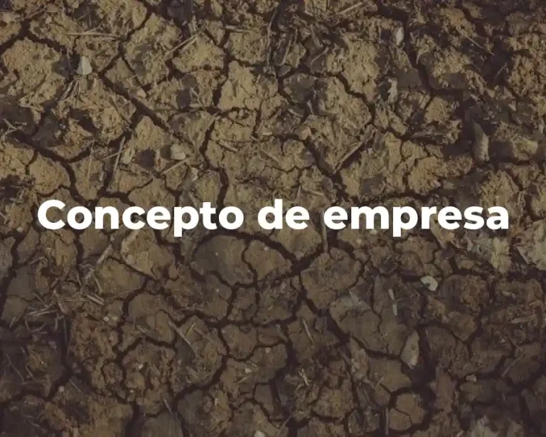 Concepto de empresa