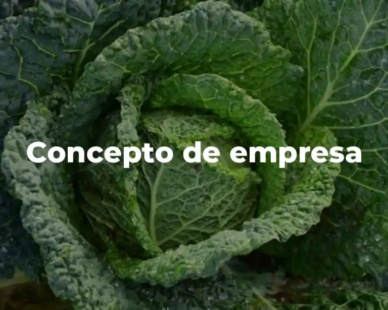 Concepto de empresa