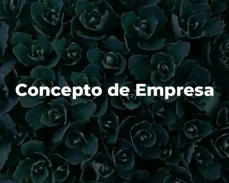Concepto de Empresa