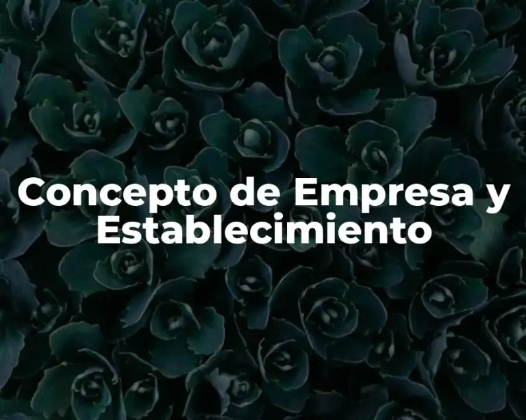 Concepto de Empresa y Establecimiento