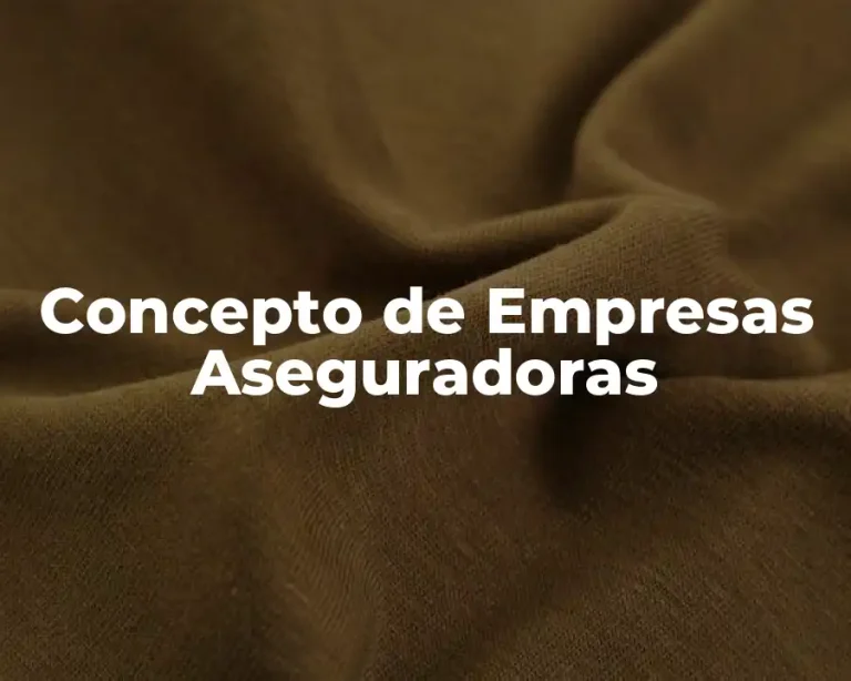 Concepto de Empresas Aseguradoras