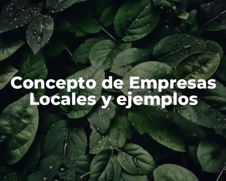 Concepto de Empresas Locales y ejemplos