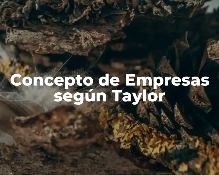 Concepto de Empresas según Taylor