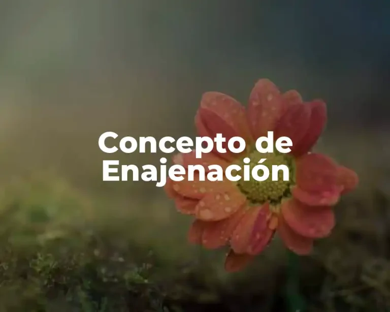Concepto de Enajenación