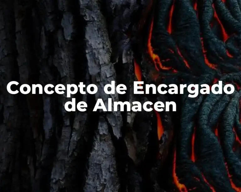 Concepto de Encargado de Almacen