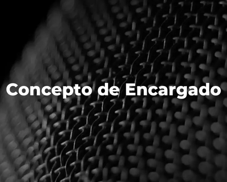 Concepto de Encargado