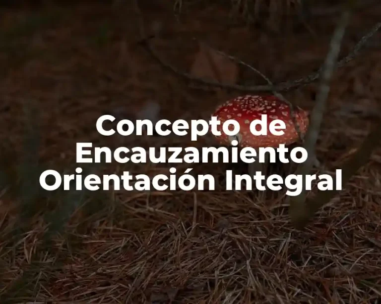 Concepto de Encauzamiento Orientación Integral