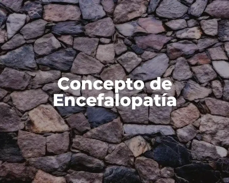 Concepto de Encefalopatía