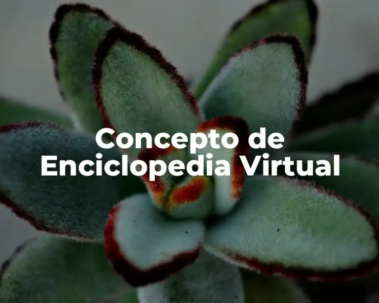 Concepto de Enciclopedia Virtual