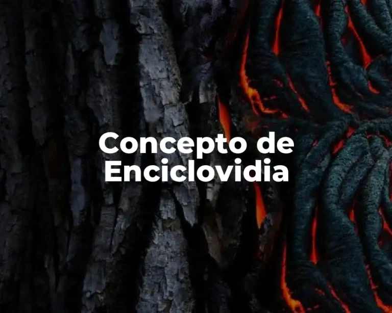 Concepto de Enciclovidia