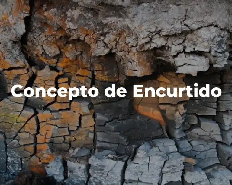 Concepto de Encurtido