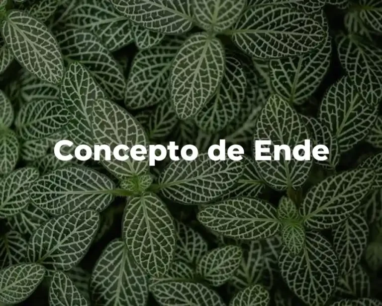 Concepto de Ende