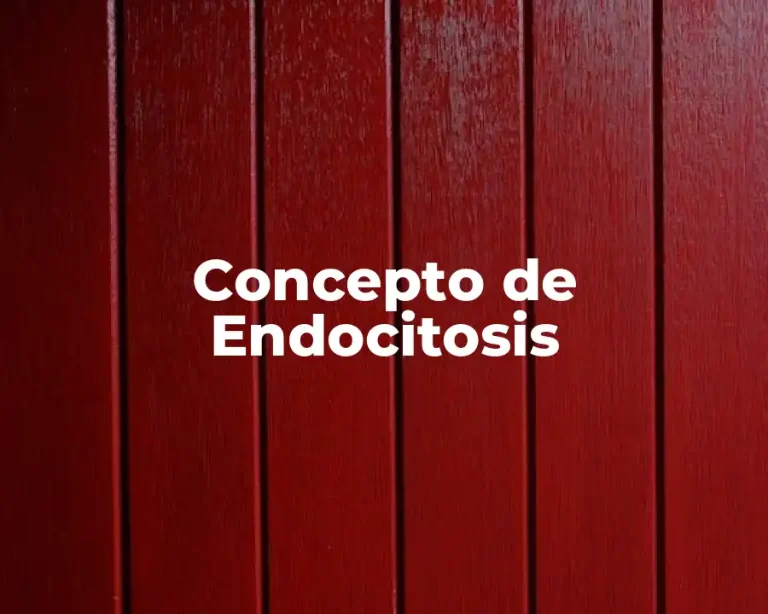 Concepto de Endocitosis
