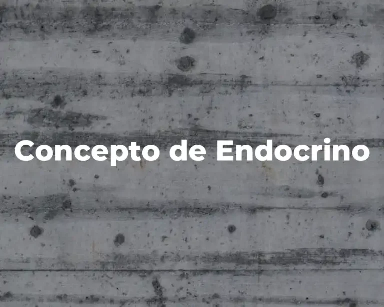 Concepto de Endocrino