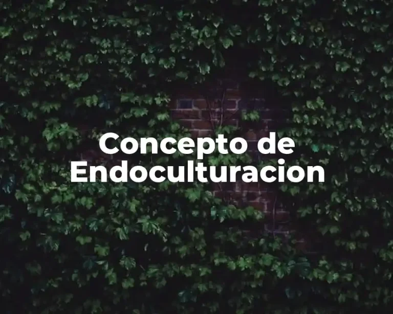 Concepto de Endoculturacion