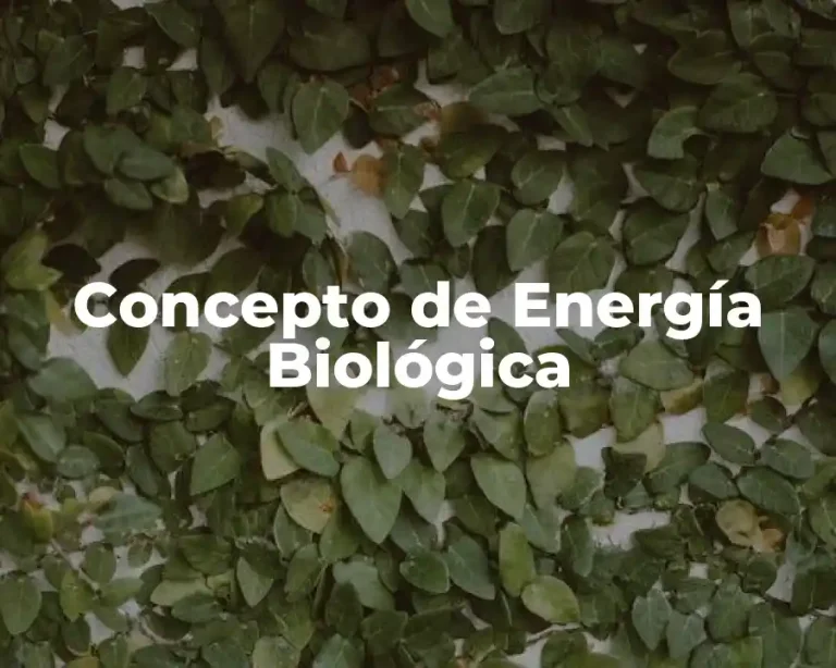 Concepto de Energía Biológica