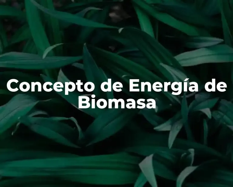 Concepto de Energía de Biomasa