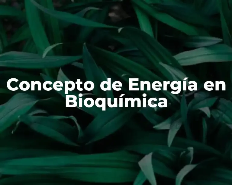 Concepto de Energía en Bioquímica