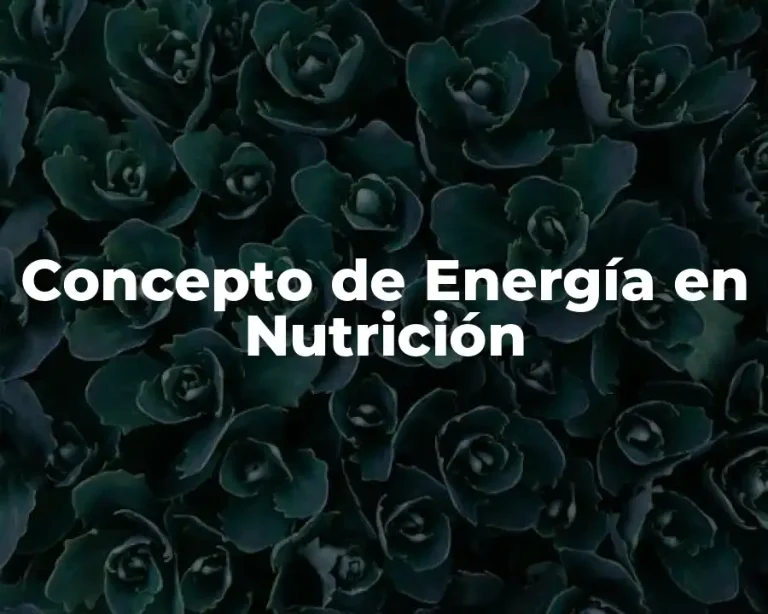 Concepto de Energía en Nutrición