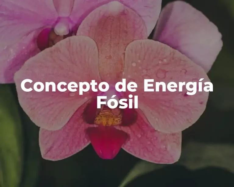 Concepto de Energía Fósil