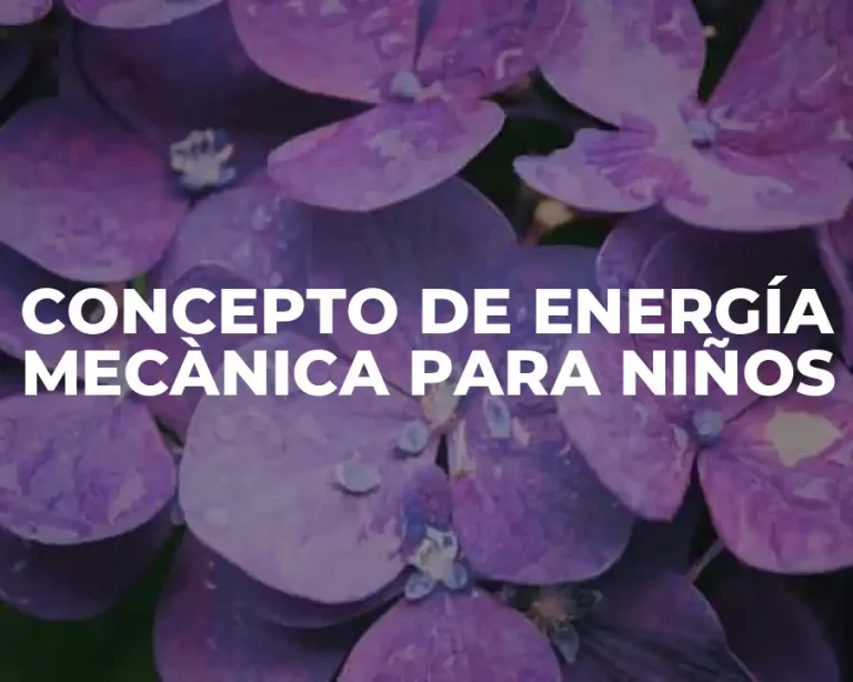 CONCEPTO DE ENERGÍA MECÀNICA PARA NIÑOS