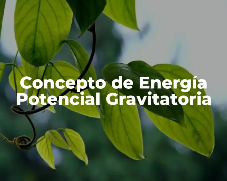 Concepto de Energía Potencial Gravitatoria