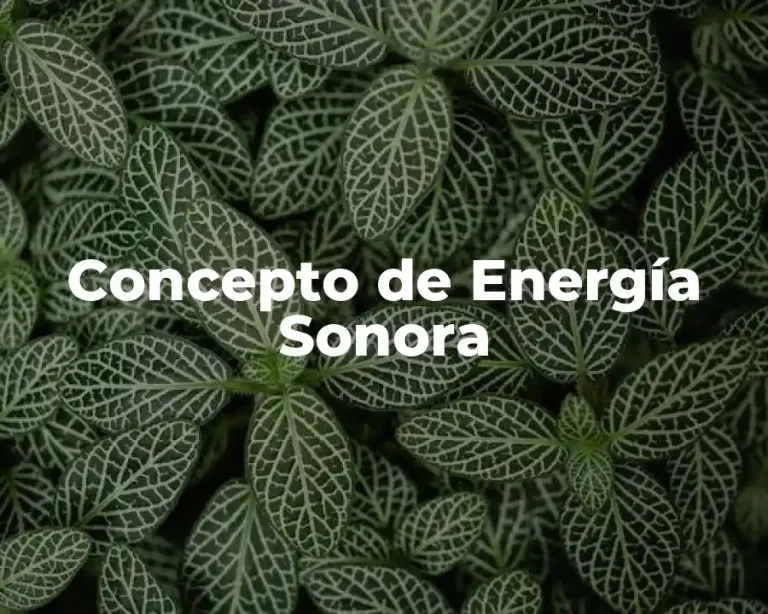 Concepto de Energía Sonora