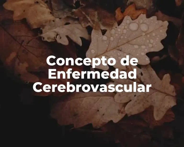 Concepto de Enfermedad Cerebrovascular