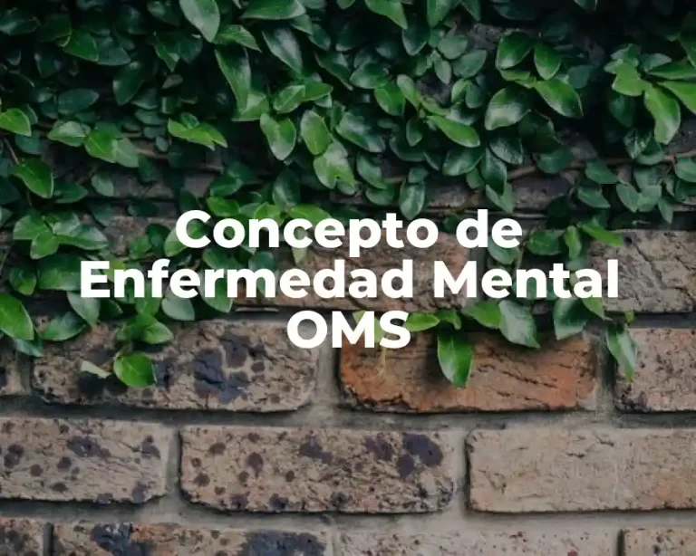 Concepto de Enfermedad Mental OMS