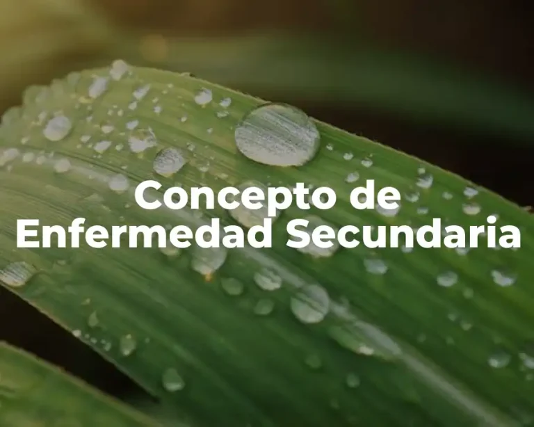 Concepto de Enfermedad Secundaria