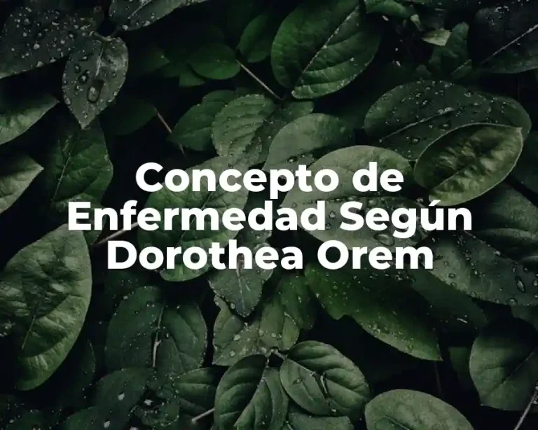 Concepto de Enfermedad Según Dorothea Orem
