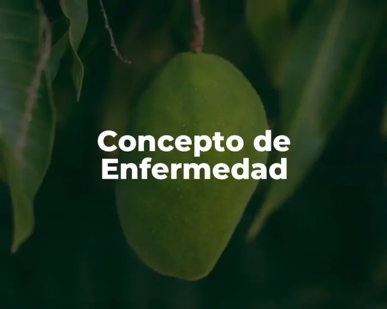 Concepto de Enfermedad