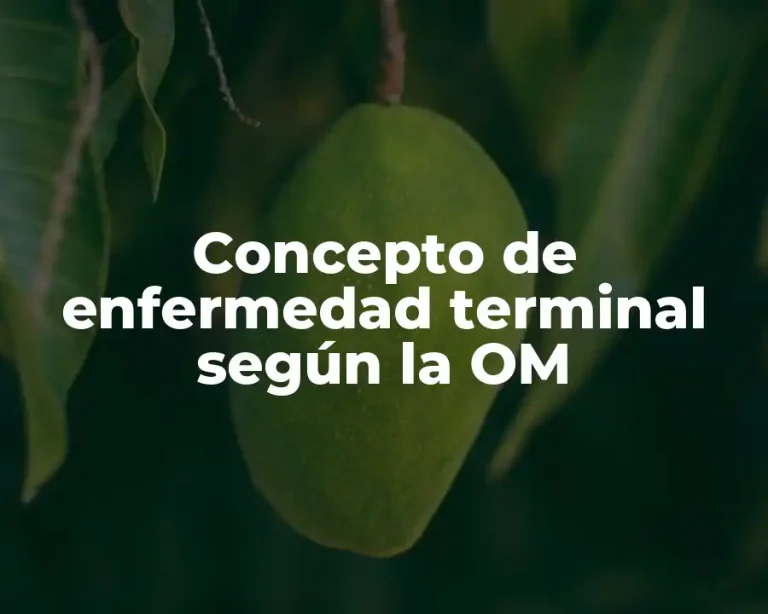 Concepto de enfermedad terminal según la OM