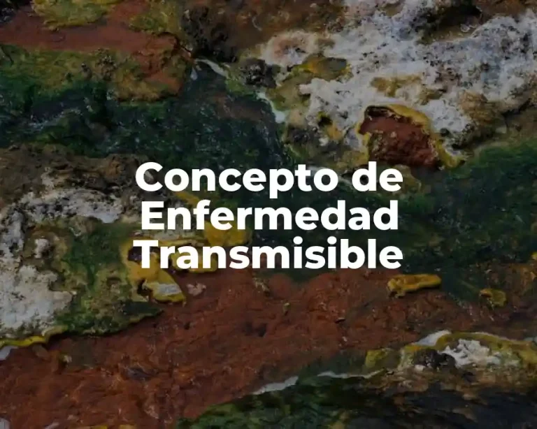 Concepto de Enfermedad Transmisible