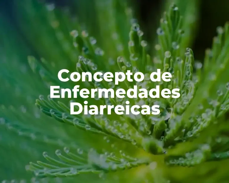 Concepto de Enfermedades Diarreicas