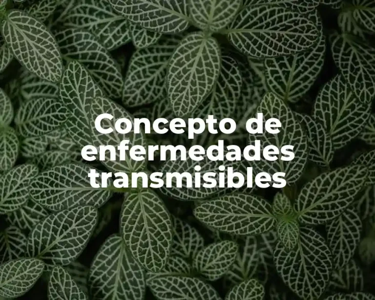 Concepto de enfermedades transmisibles