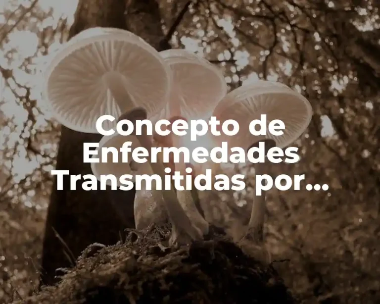 Concepto de Enfermedades Transmitidas por Alimentos