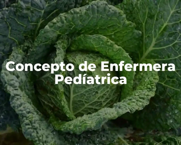 Concepto de Enfermera Pedíatrica