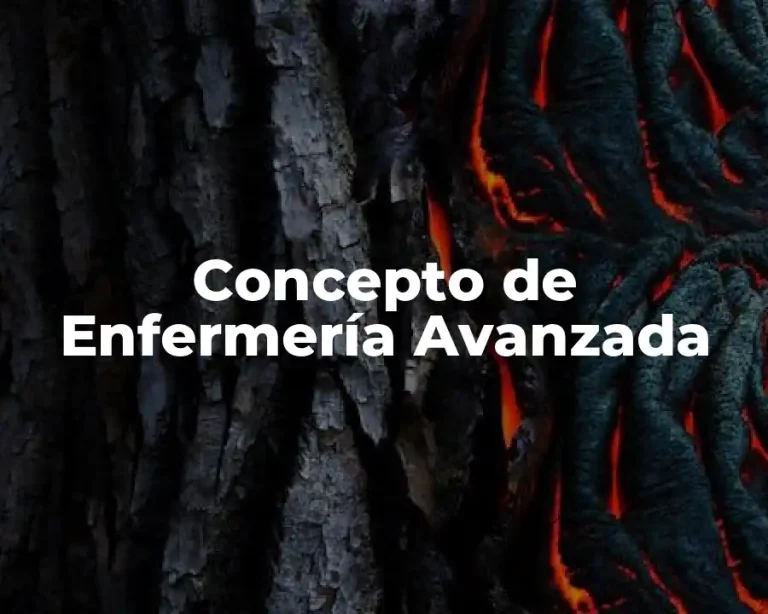 Concepto de Enfermería Avanzada