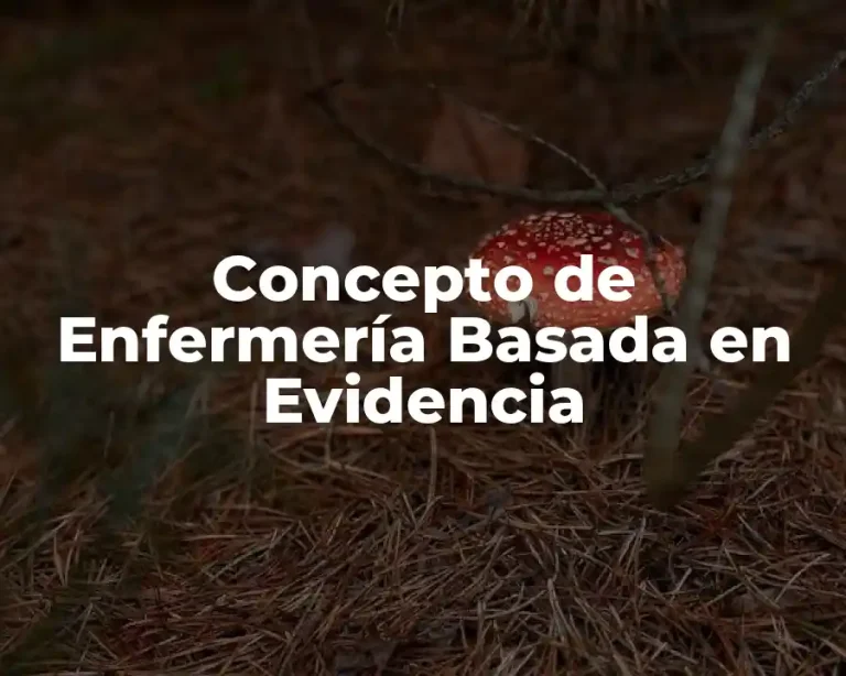 Concepto de Enfermería Basada en Evidencia